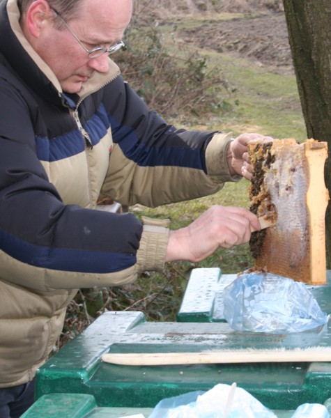 Futterkranzprobe im Frühjahr Futterkranzprobe im Frühjahr